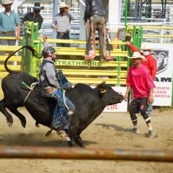 Strathmore Museum - Strathmore