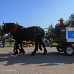 Strathmore Museum - Strathmore