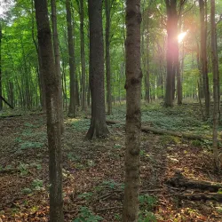 Caradoc Sandhills Conservation Area - Strathroy-Caradoc