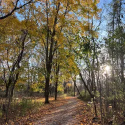 Caradoc Sandhills Conservation Area - Strathroy-Caradoc