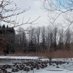 Caradoc Sandhills Conservation Area - Strathroy-Caradoc
