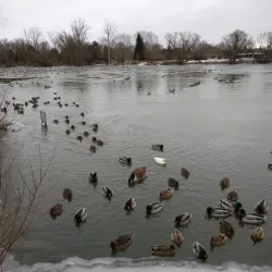 Caradoc Sandhills Conservation Area - Strathroy-Caradoc
