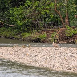 Thames River Trail - Strathroy-Caradoc