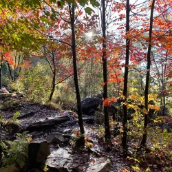 A.Y. Jackson Lookout - Sudbury