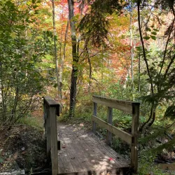 A.Y. Jackson Lookout - Sudbury