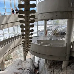 Science North's Planetarium - Sudbury