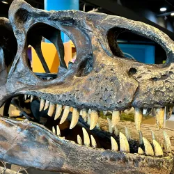 Science North's Planetarium - Sudbury