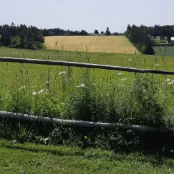 L.M. Montgomery's Cavendish Home Site (nearby) - Summerside