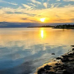 Wyatt Historic House Museum - Summerside
