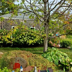 Wyatt Historic House Museum - Summerside