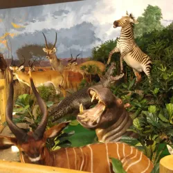 Sundre Museum and Heritage Village - Sundre