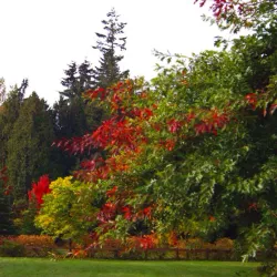 Bear Creek Park - Surrey