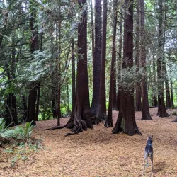 Bear Creek Park - Surrey