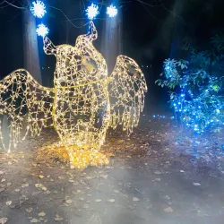 Bear Creek Park - Surrey