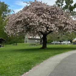 Bear Creek Park - Surrey