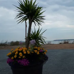 Crescent Beach - Surrey