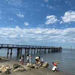 Crescent Beach - Surrey