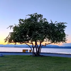 Crescent Beach - Surrey