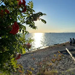 Crescent Beach - Surrey