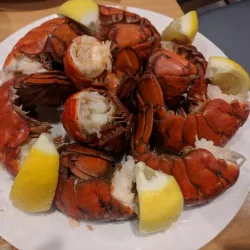 Fraser Downs Racetrack & Casino - Surrey