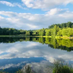 Green Timbers Urban Forest - Surrey