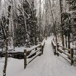 Green Timbers Urban Forest - Surrey