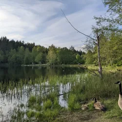 Green Timbers Urban Forest - Surrey