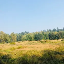 Green Timbers Urban Forest - Surrey