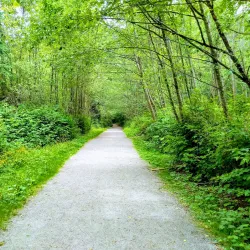 Green Timbers Urban Forest - Surrey