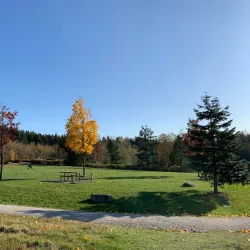 Green Timbers Urban Forest - Surrey
