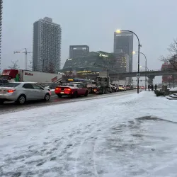 Holland Park - Surrey