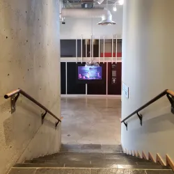 Surrey Art Gallery - Surrey