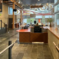 Surrey Art Gallery - Surrey