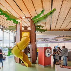 Surrey Museum - Surrey