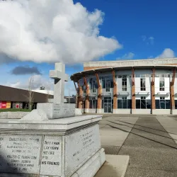 Surrey Museum - Surrey