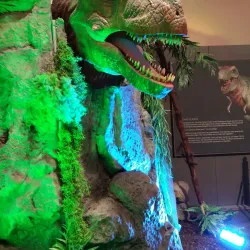 Surrey Museum - Surrey