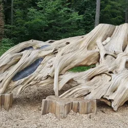 Surrey Nature Centre - Surrey