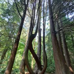 Surrey Nature Centre - Surrey