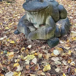 Surrey Nature Centre - Surrey