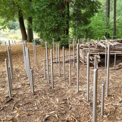 Surrey Nature Centre - Surrey