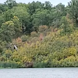 Centennial Regional Park - Swift Current