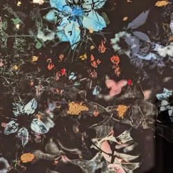 Prairie Winds Art Centre - Swift Current