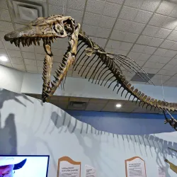 Swift Current Museum - Swift Current