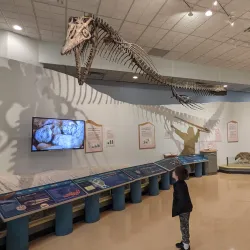 Swift Current Museum - Swift Current