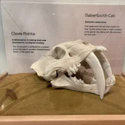 Swift Current Museum - Swift Current