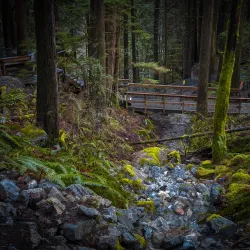 Cascade Falls Regional Park - Terrace