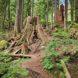 Cascade Falls Regional Park - Terrace