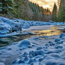 Cascade Falls Regional Park - Terrace