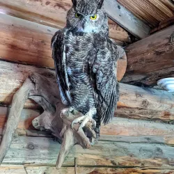 Heritage Park - Terrace