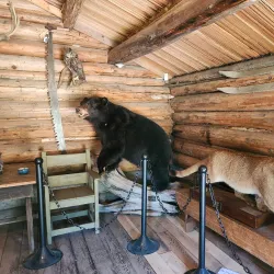 Heritage Park - Terrace